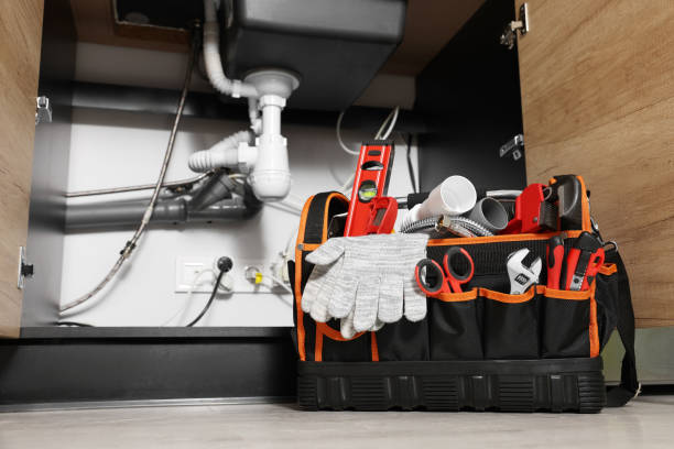 Best Local Plumber Services  in Morton Grove, IL