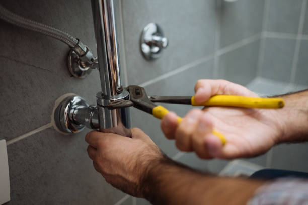 Best Plumbing Services Near Me  in Morton Grove, IL